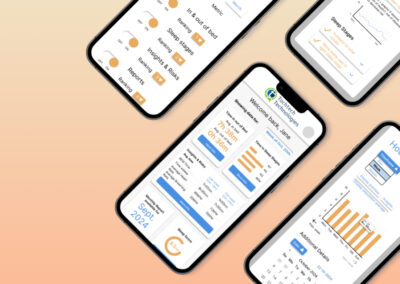 Mockups of different pages from this UX project
