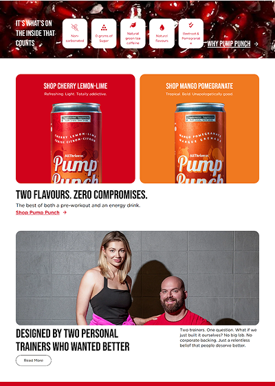 Website overlay